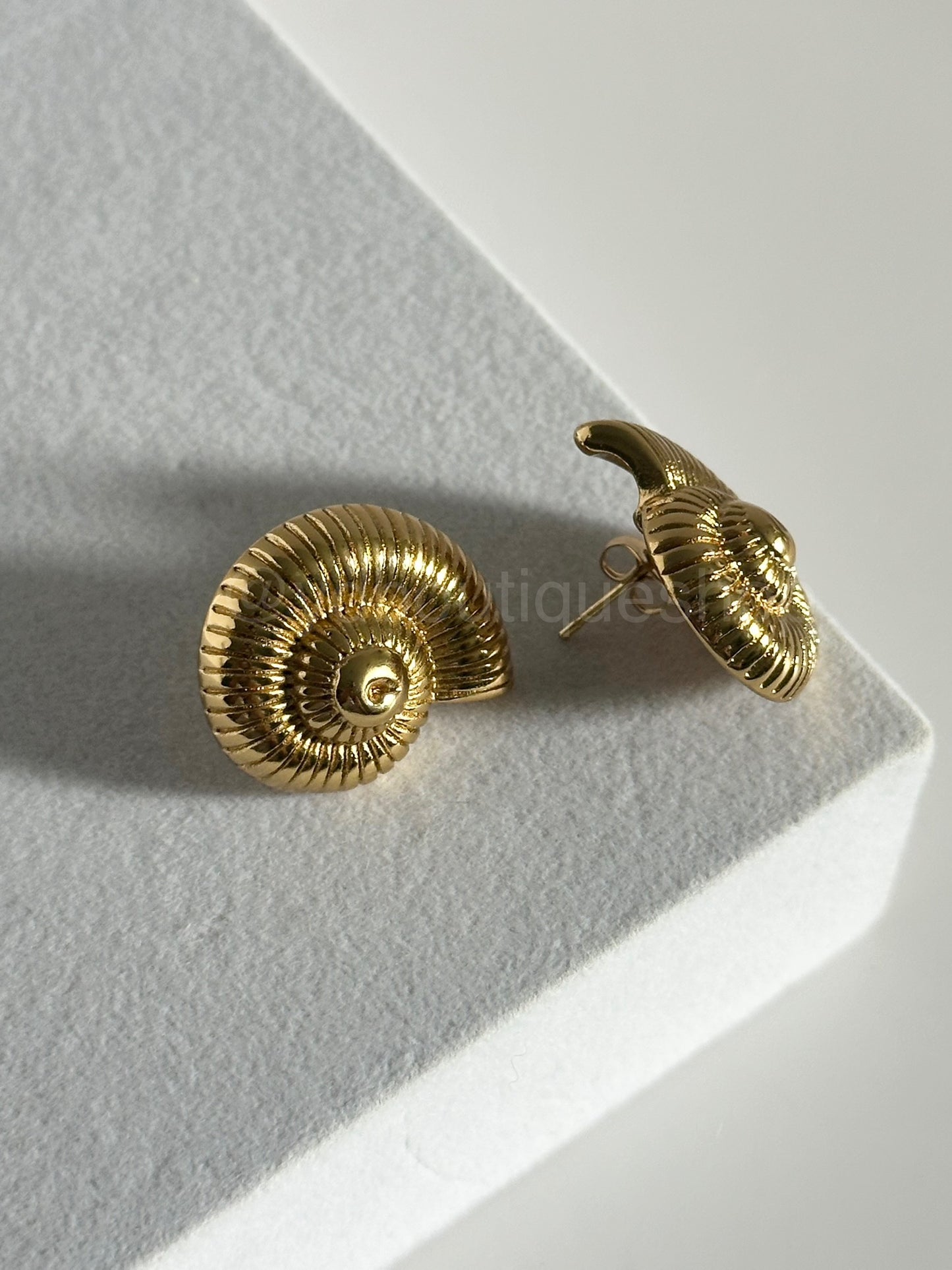 Style conch