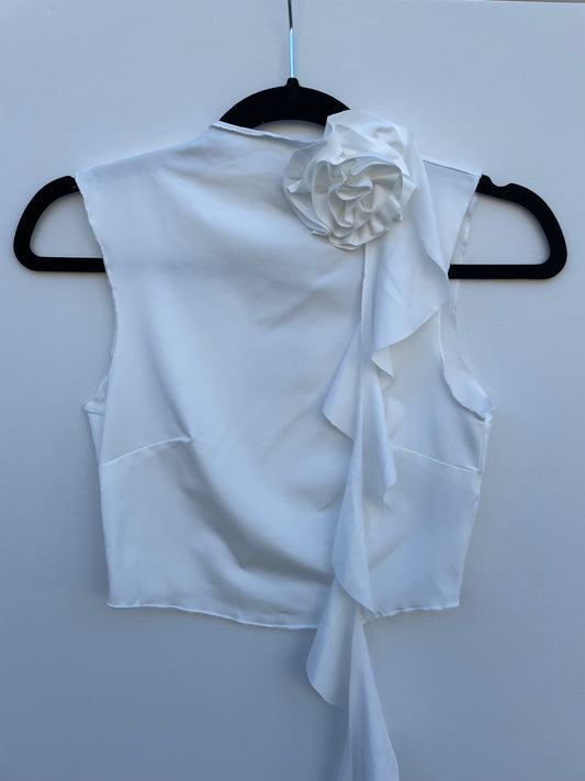 Aestereoscopic white top